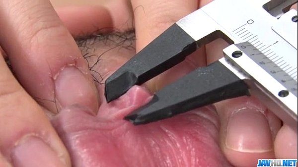 Haury Pussy