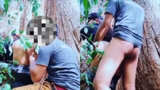Video Mesum Pasangan Ngentot Di Bawah Pohon Rindang