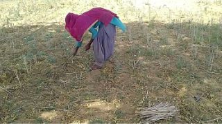 देसी इंडियन ब्वॉयफ्रेंड ने खेत में काम करती हुई उसकी मस्त चोदा