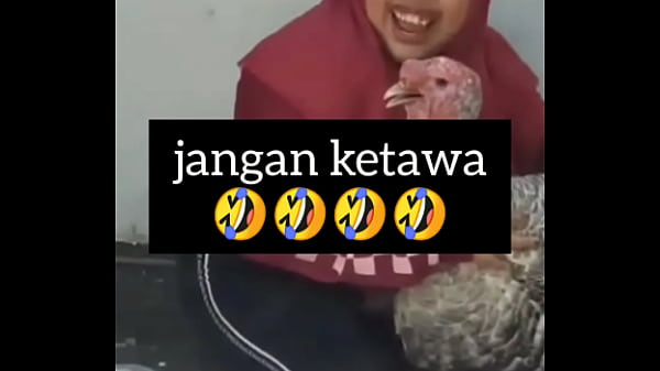 Gadis Montok Ngikik Penuh Birahi